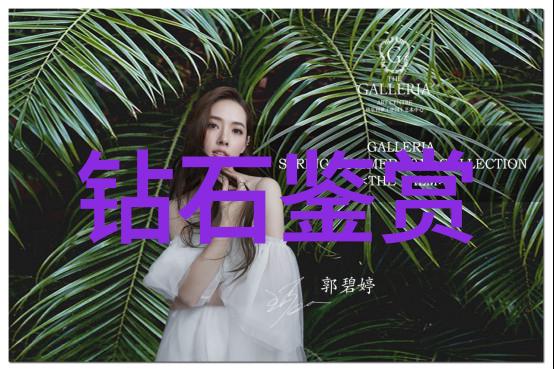 密斯凡德罗的超级秘密花园揭秘世界上最神奇的蔬菜