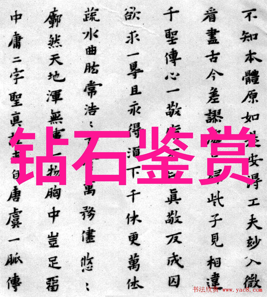 古墓丽影源自神秘之谜的传奇古墓丽影背后的历史与创作故事