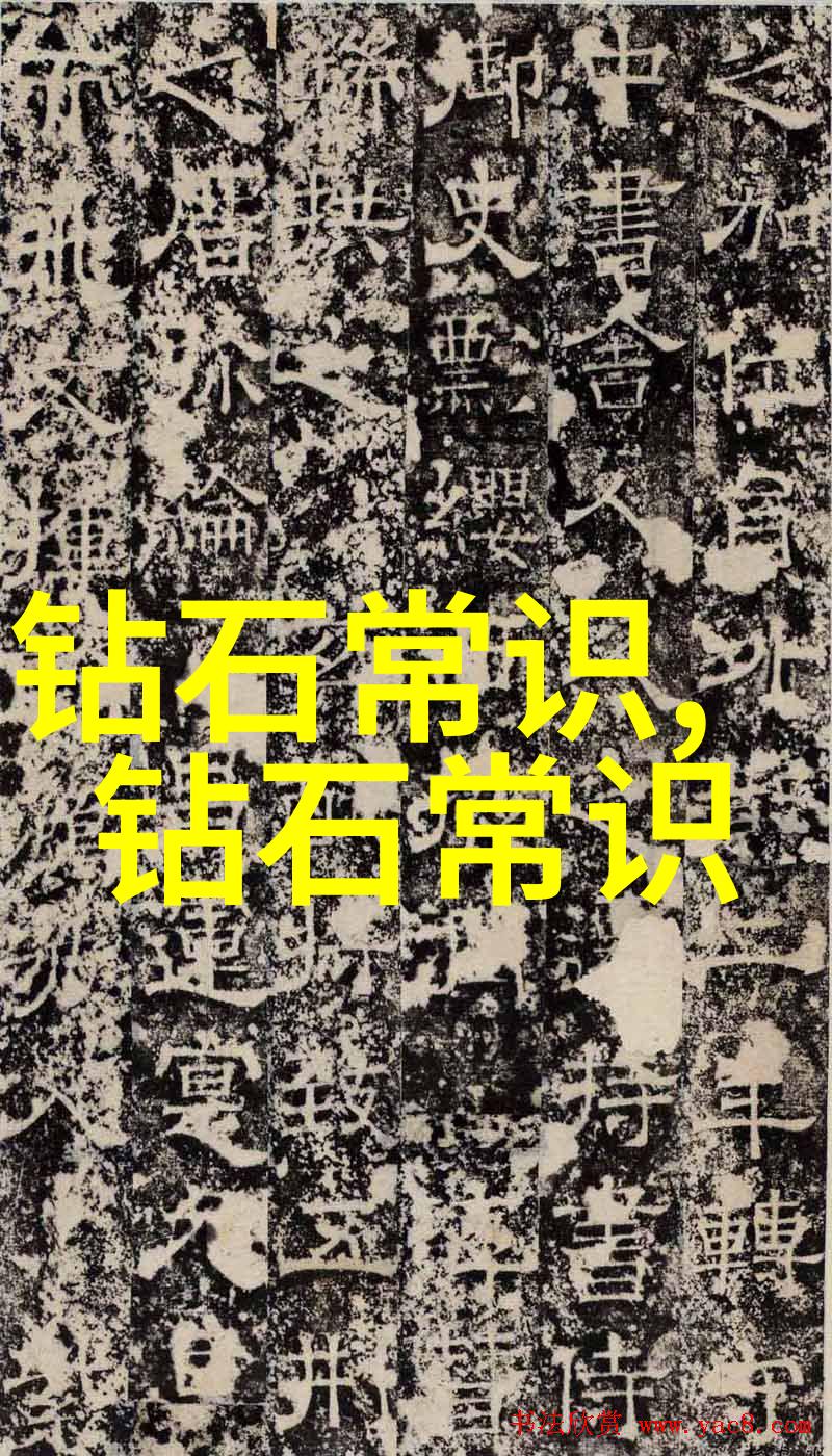 探索光影世界摄影行业的发展前景与学习路径
