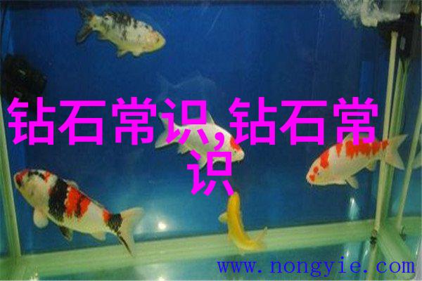 森林探秘免费体验自然之旅