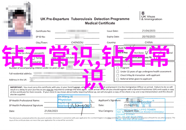 珠宝鉴赏探索光芒背后的艺术与科学