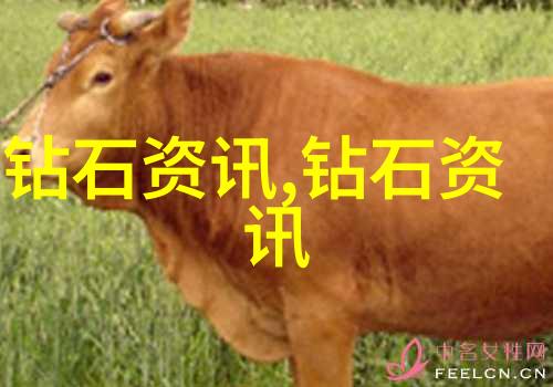 宝诗龙背后的智慧解读古代文化符号