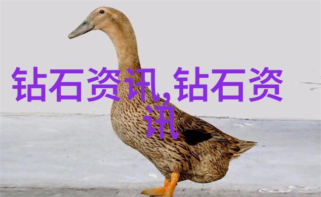 小S货再次欲图挨C叫嚷大声点网红游戏圈的争议与挑衅