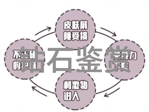 玉文化探秘揭开古代宝石之谜