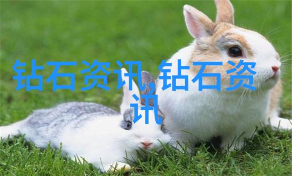 居家美学的艺术探索室内装潢设计的精髓