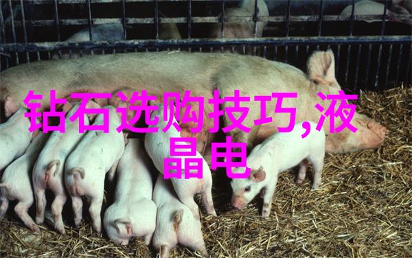 从纸上到现实六年级学生如何用笔尖塑造世界观