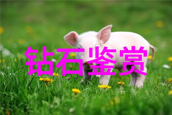 从学到做中国美术学院珠宝设计实习生故事