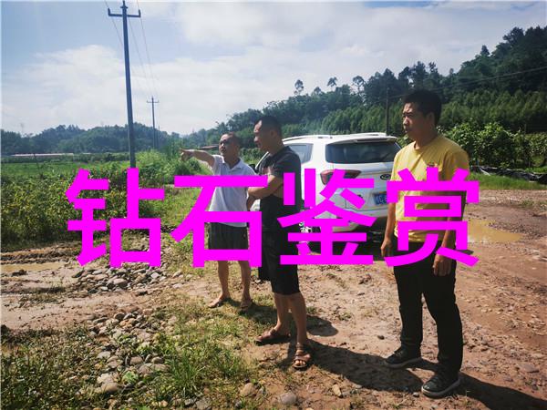超级女声的辉煌旅程米凯莉的音乐奇迹