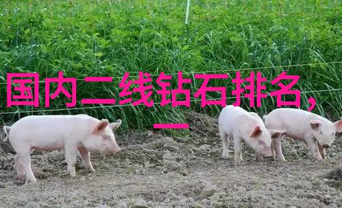 经典故事我爸妈的童话世界