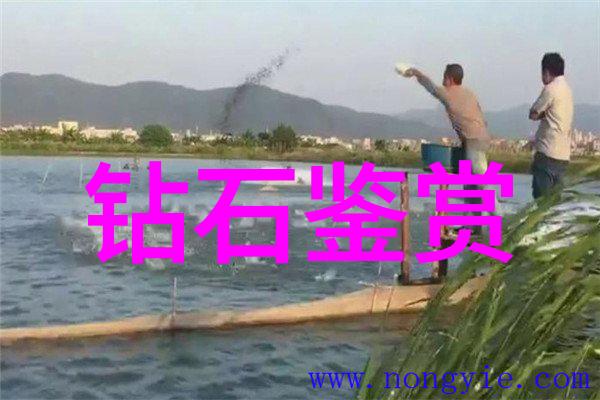 北京万丰珠宝城的可靠性考量