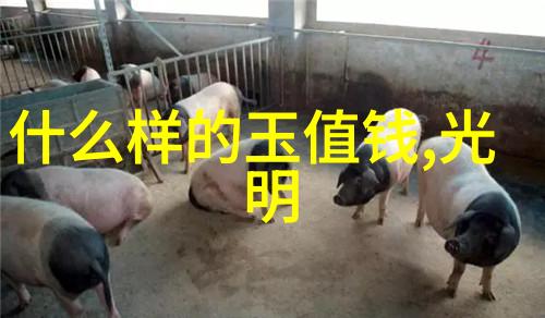 宝玉石鉴赏-精彩纷呈揭秘宝玉石的魅力与鉴赏艺术