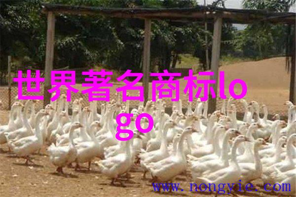 宝石学-璀璨世界揭秘全球宝石排名的奥秘