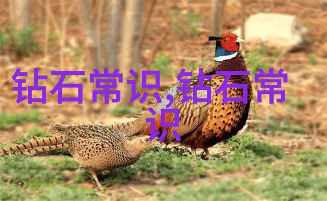 50个中国文化常识一探古代诗词的艺术魅力