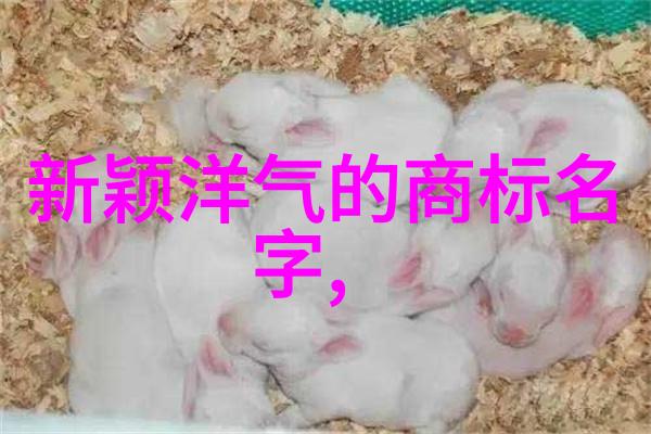 工艺图包括哪几种图揭秘制造过程中的关键视觉语言