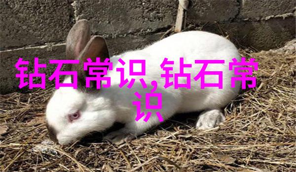 花开满枝一朵玫瑰的传奇