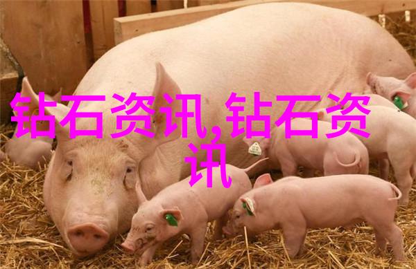 中国地质大学珠宝鉴定专业我是如何在这里找到自己的宝藏