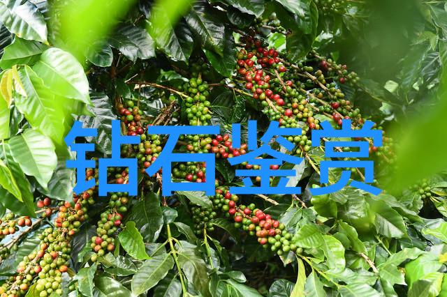 隐藏在光芒之下的秘密宝藏探索冷门宝石的魅力与价值