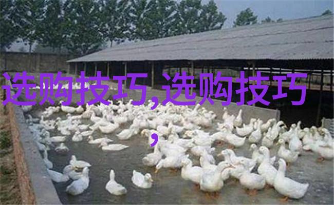 工艺品手工-精细纹理探索传统工艺品的手工之美