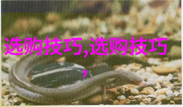 墨香间的回声六年级学生在笔尖流出的故事中的学术探索