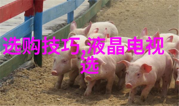 中国稀有金属宝库揭秘十大贵重资源