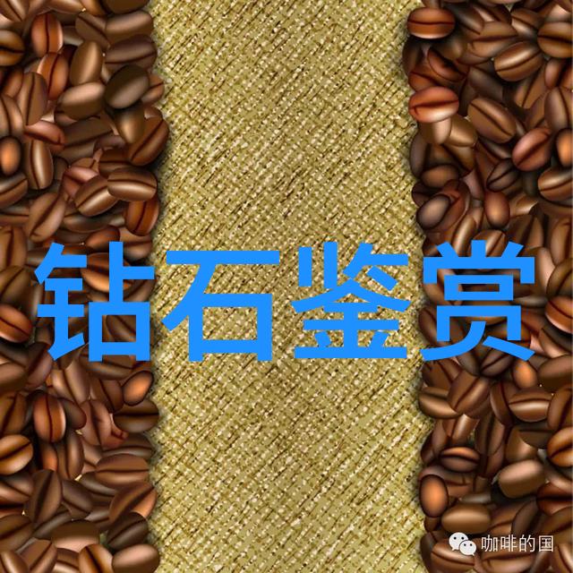 童话故事-魔法森林里的奇遇一段童年的回忆
