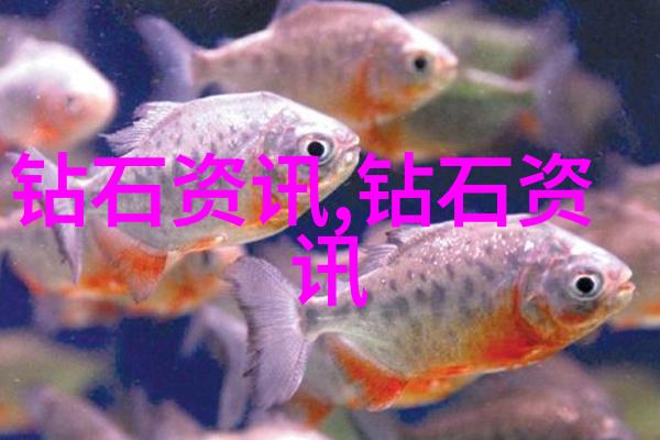 中国古代书法艺术的精髓
