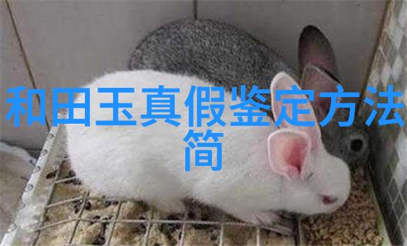 工艺美术包括哪些基本元素