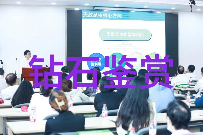 璀璨华丽上海珠宝设计培训课程开启创意之旅