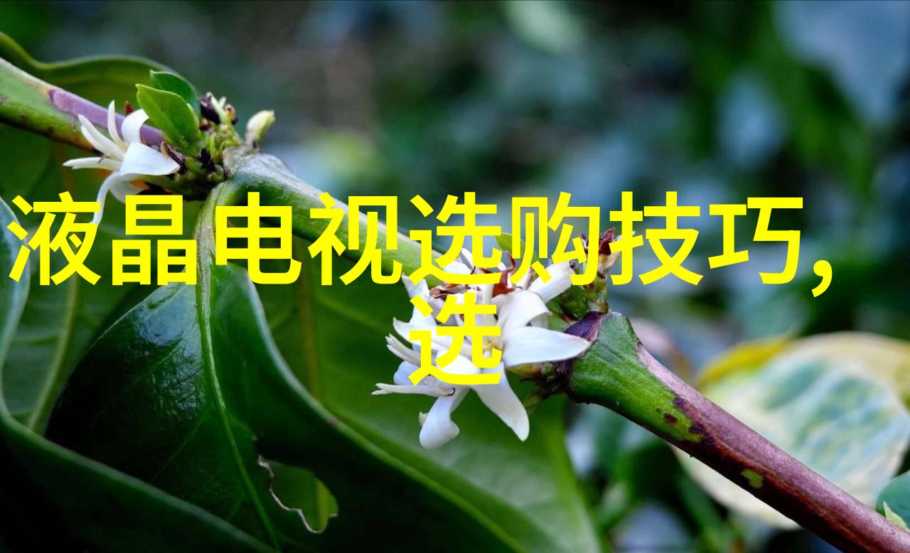 单挑风云一对一的胜负较量与三角恋情的纠葛