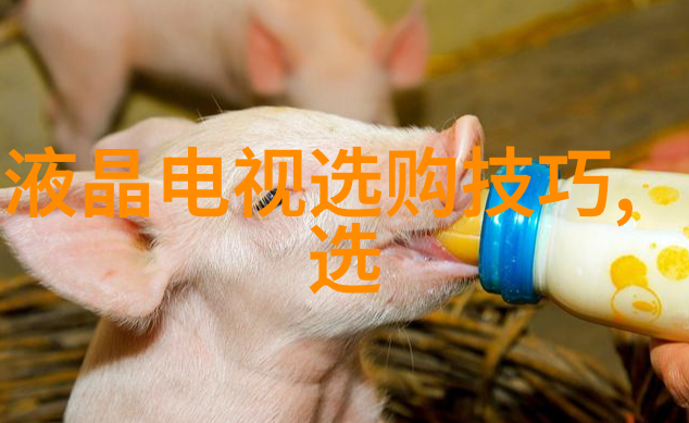生态环境保护下的绿色消费理念将绿色融入日常生活中的挑战与机遇