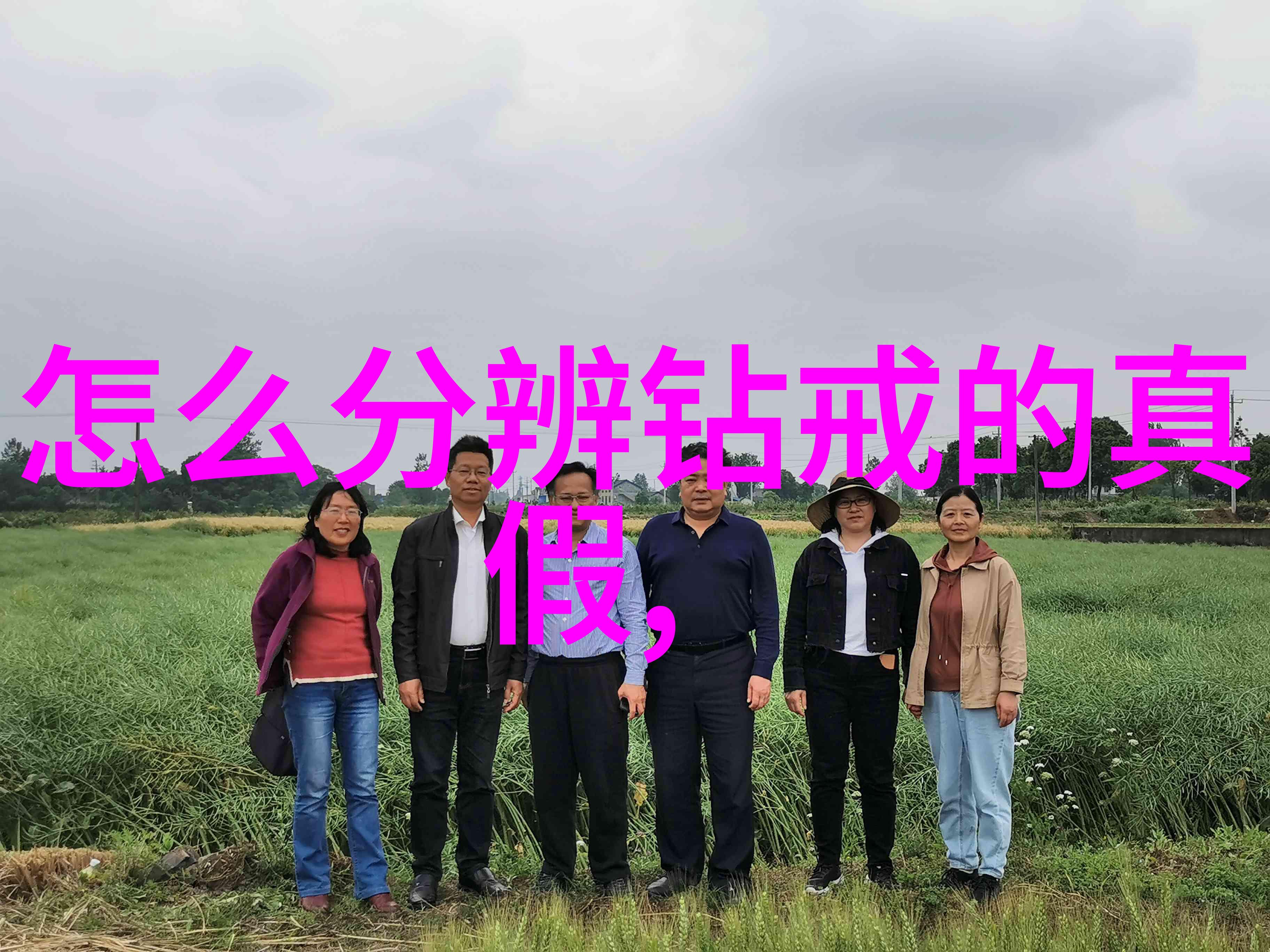 翡翠梦中求