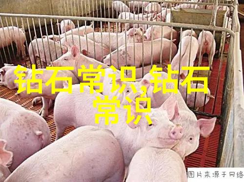 中国十佳科普书籍排行榜知识启蒙者的指南针