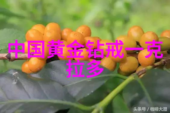 珠宝收藏的艺术与财富探索那些值得珍视的贵重品种