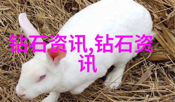 苏家女儿的五战记忆