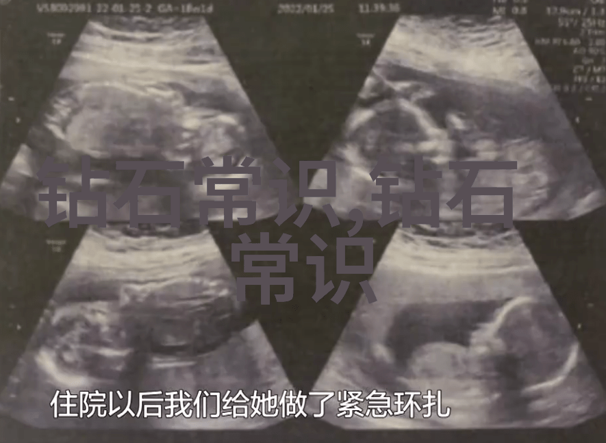 中华文化的深厚底蕴探索传统艺术的精髓