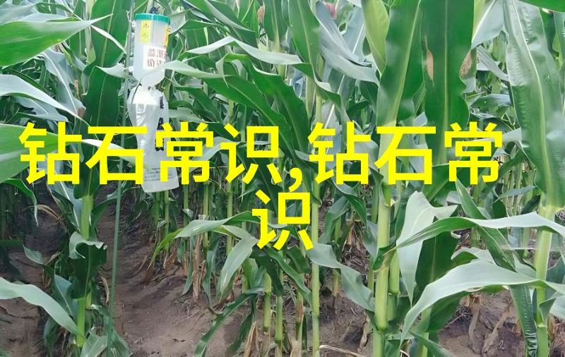 古秘录碧玉断魂记
