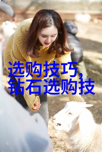 工程造价从数字到砖实从成本预算到项目盈利的艺术探索