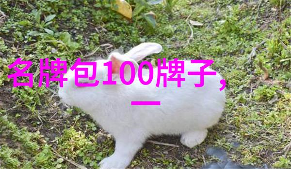 世界十大顶级翡翠 - 翡翠宝石之冠揭秘全球最珍贵的绿玉美丽篇章