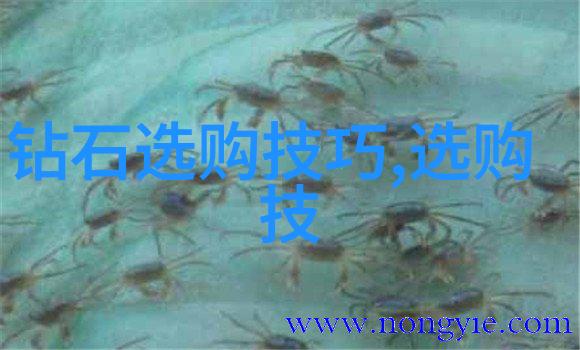探索宝石的美学魅力光彩夺目之外的艺术与情感价值