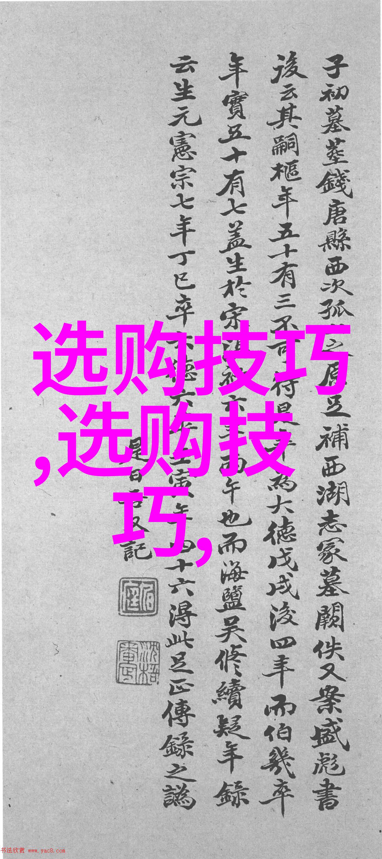 审计学专业-深度解析审计学专业如何培养未来会计领域的顶尖专家