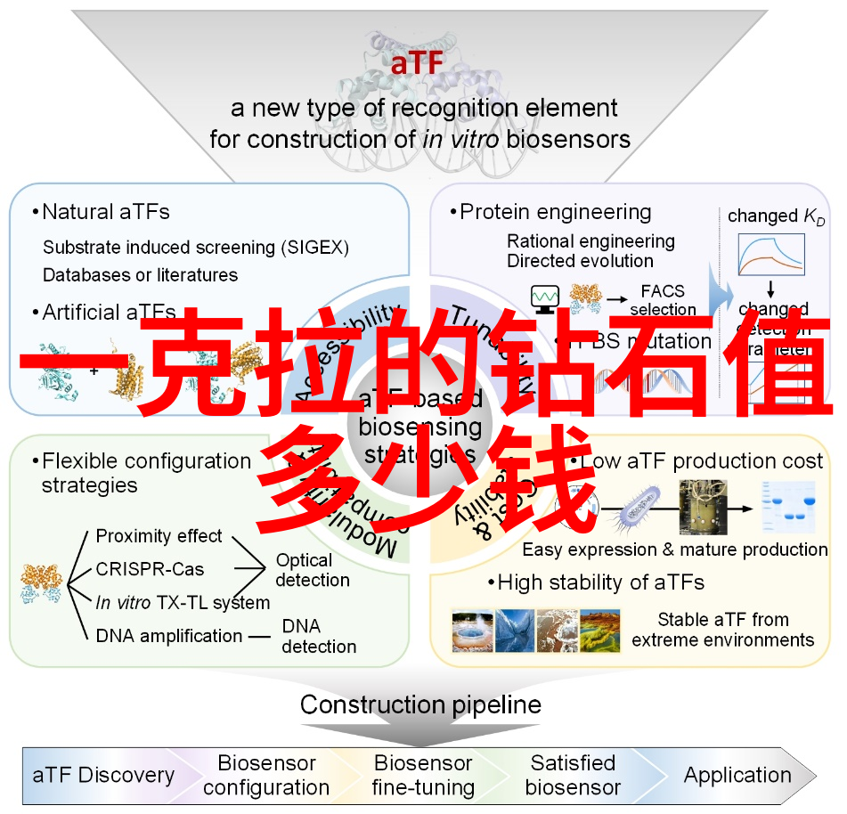 全球技艺盛宴中的璀璨之光珠宝精髓的展现