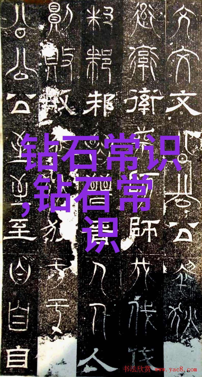 宝庆银楼考古学视角下的明清时期商业建筑与货币流通研究