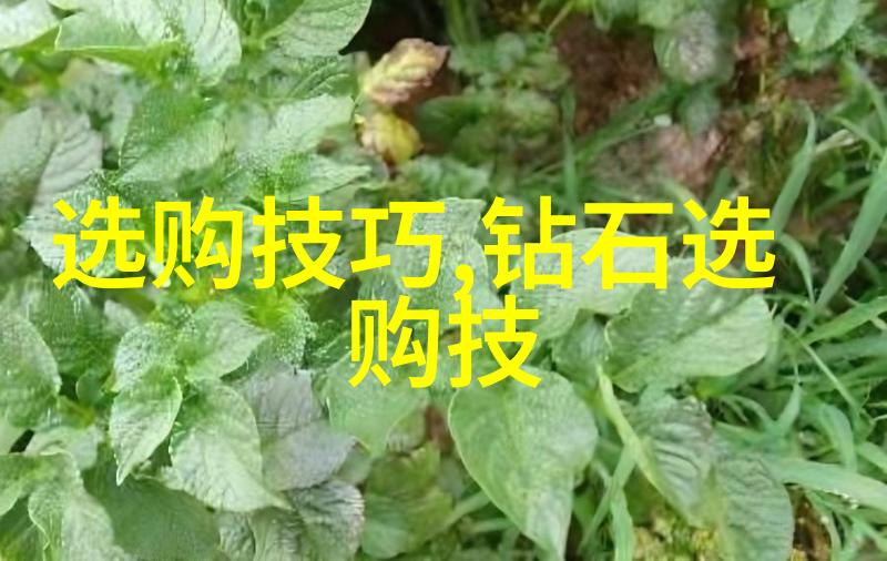 宝庆银楼珠玉毕露金辉满堂