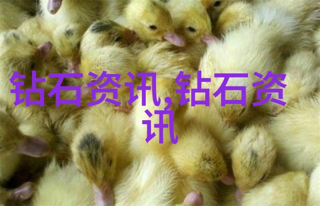 从理论到实践将书本知识应用于实际项目中的技巧