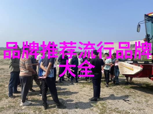 在月亮与星星的中有哪些特殊因素使其成为宝藏之一