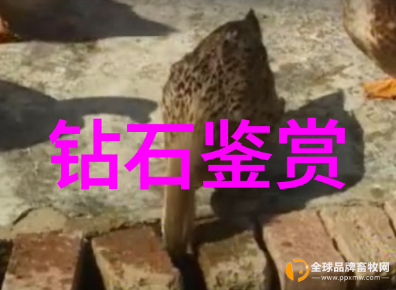 生产工艺流程卡图片解读与应用中的最佳实践与创新策略
