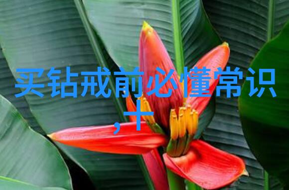 翡翠秘笈一杯水中的真假辨别