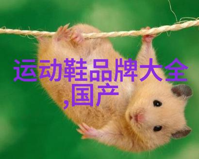 指尖上的高峰