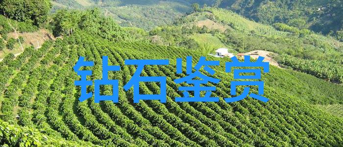 工艺部门的主要职责精准制造产品研发质量控制生产管理