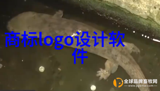 中国文化的最大特点深厚的历史底蕴与丰富的传统艺术